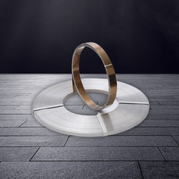 Strip Stainless Steel Presisi Strip Stainless Steel Presisi